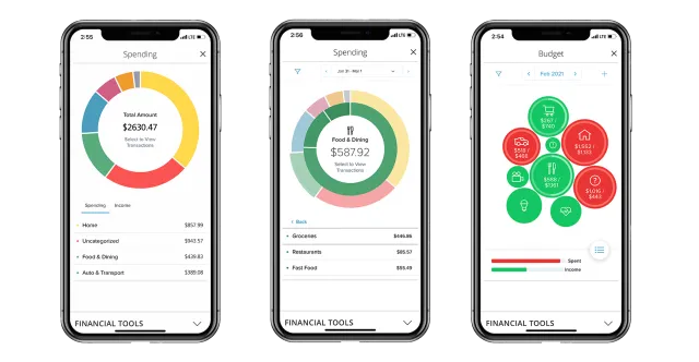 Financial Wellness eBank Tools