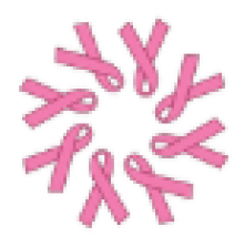 Pink Alliance Logo