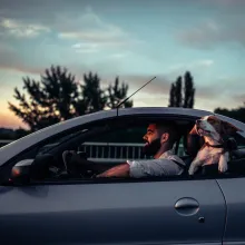 Dog Enjoying Car Ride